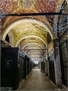 VENICE21 (51)